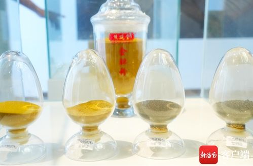 美安科技新城吸引创新药企落地建产线 专注珍稀动物中药材替代品开发