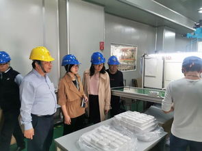 招商引资掀高潮 引凤入巢添动力