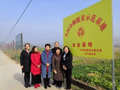 微新闻 | 市妇联"讲政治、敢担当、改作风"专题教育高标准、高质量开局起步