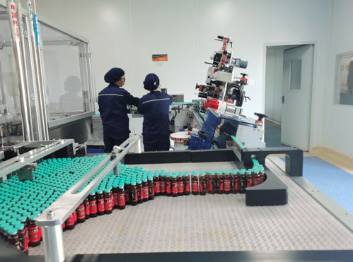 走进回春堂药业 传统中医药产业插上科技 翅膀