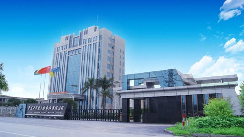 鱼也可打疫苗 肇庆这些科技精英的研究,让你大开眼界