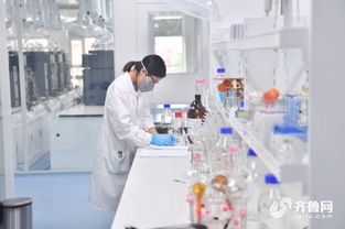 高质量发展看山东 科技兴企 罗欣药业践行高质量发展之路